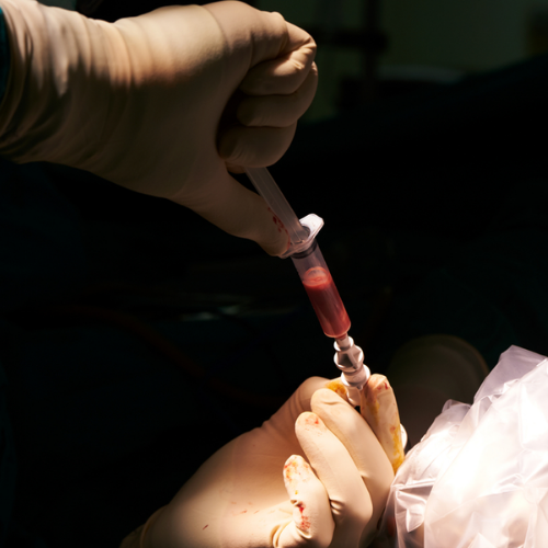 Picture8 | dr. Sai shiva tadakamalla